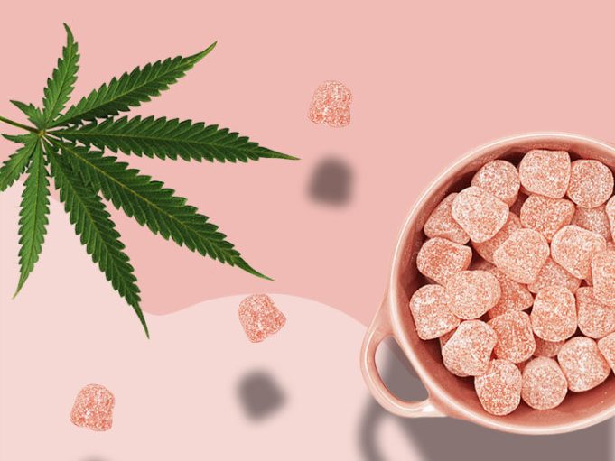 CBD Gummies Could Be Your New Essential